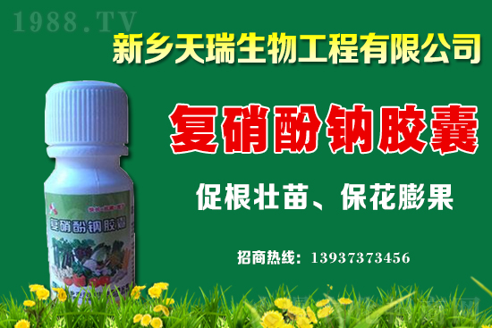 ���[һ�����ܮa(ch��n)���ٽ������[�r�����ϝq��