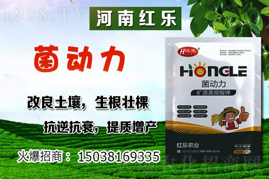 12�·��ܷNʲô�߲��������߲˷Nֲ����Щ������