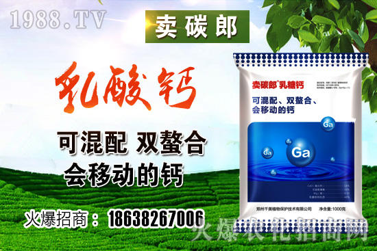 ���������^��С���r�����w��λڅ��(w��n)��