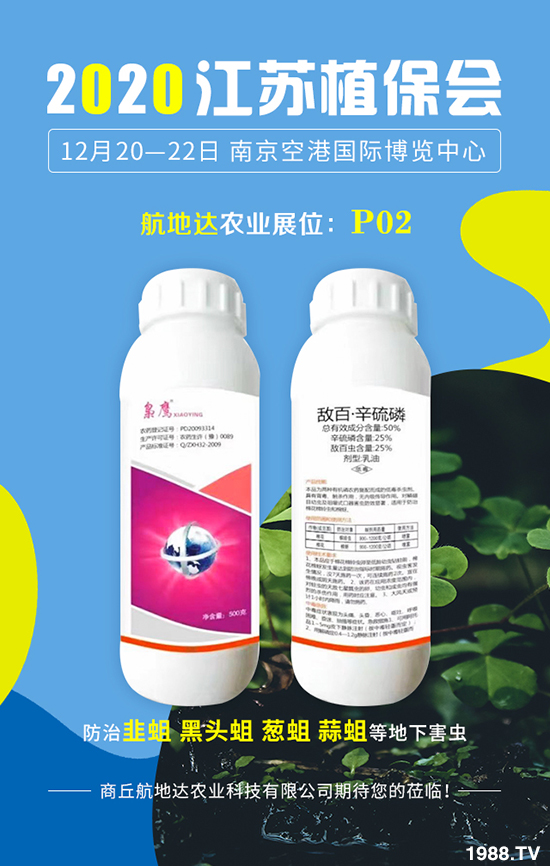 2020���Kֲ�����������_�r(n��ng)�I(y��)�����������@ϲ���������u�B�B��