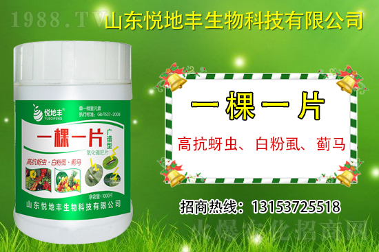 �߿����x���׷�ʭ���E�R��ʲô��һ�x������