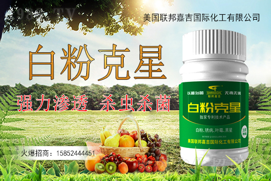 �����׷۲�����y�Է����������׷۲������ˎ����Ч������