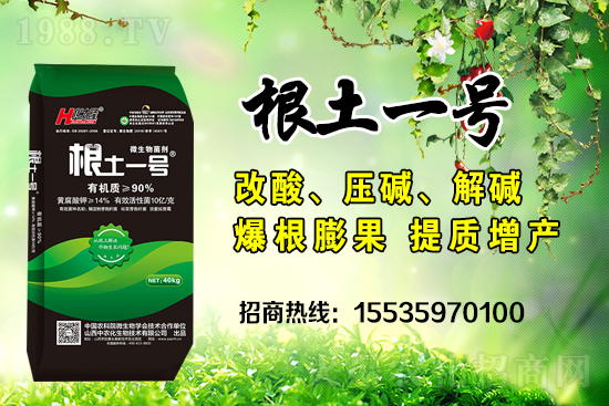     ΢��������е�΢������ʲô������΢�����������θ��������ģ�