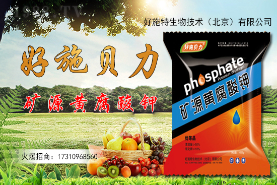 �󽪶����Xһ�����󽪷Nֲǰ������������Nֲ���g(sh��)��