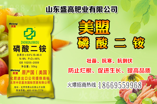 ����С���r(ji��)��߀��(hu��)�^�m(x��)�ϝq����12��С���r(ji��)���������