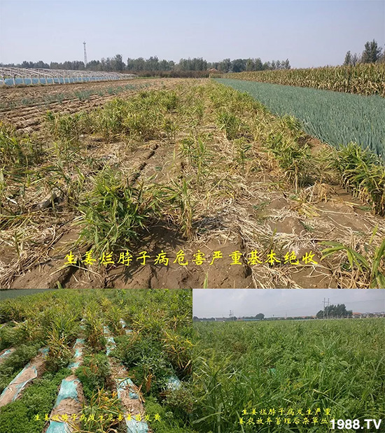     �l(f��)�������a(ch��n)Ʒ������أ�n������ʽ���ؠ����Ӳ����Ñ���������Ч����������