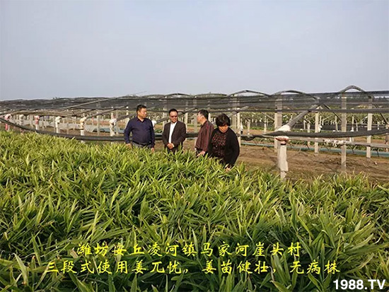     �l(f��)�������a(ch��n)Ʒ������أ�n������ʽ���ؠ����Ӳ����Ñ���������Ч����������