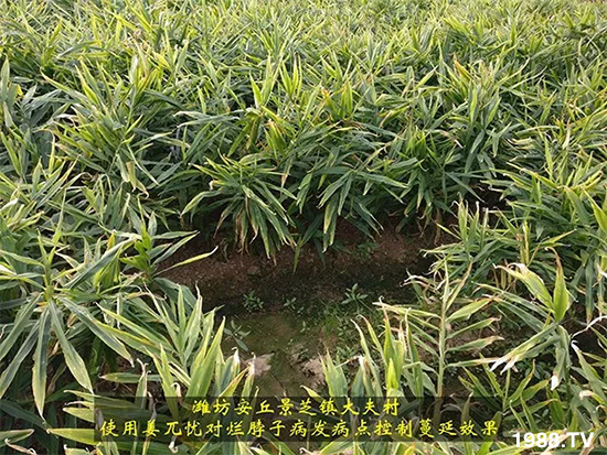     �l(f��)�������a(ch��n)Ʒ������أ�n������ʽ���ؠ����Ӳ����Ñ���������Ч����������