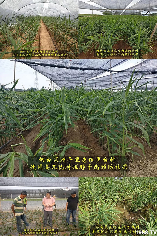     �l(f��)�������a(ch��n)Ʒ������أ�n������ʽ���ؠ����Ӳ����Ñ���������Ч����������