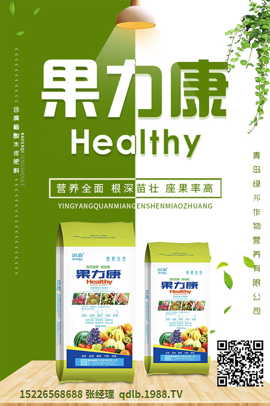 �����ĸ������g�Y���������ĸ����İl(f��)��Ҏ(gu��)�ɼ�������