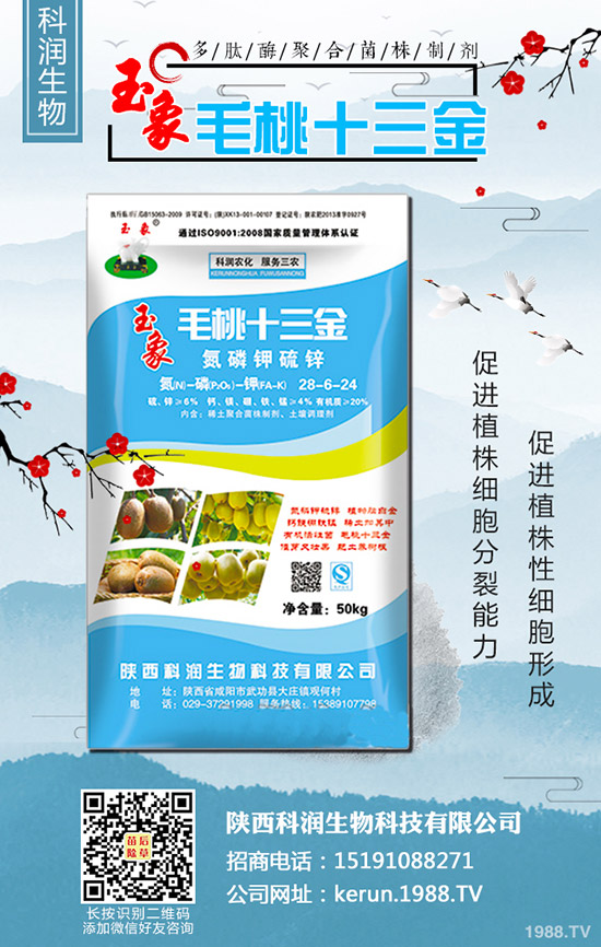     ���裺�����B�m(x��)�q�r(ji��)�����L(f��ng)�U(xi��n)�����2020-3-13��������(b��o)�r(ji��)��