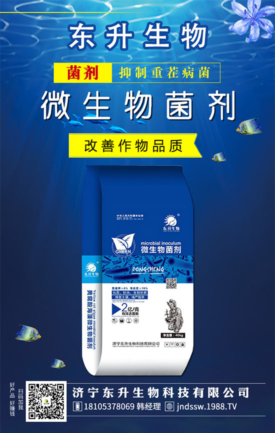 �²�Ʒ�N����Щ���²˵��B(y��ng)ֳע�����(xi��ng)��