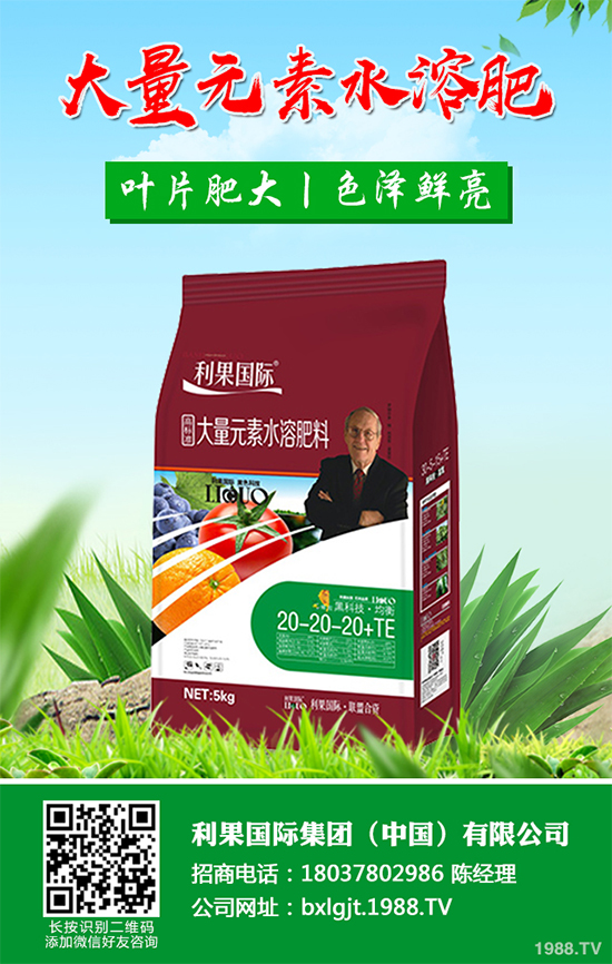 ���y���Nֲǰ�������2020���y���ķNֲǰ����Ч�����