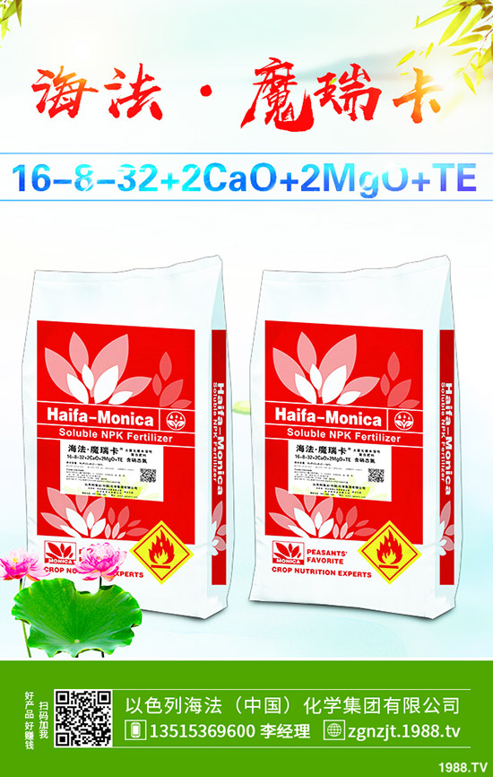     ���أ��r��ֹ?ji��)q�������Ј�С����ʎ��2020-3-21�������س��S��r��