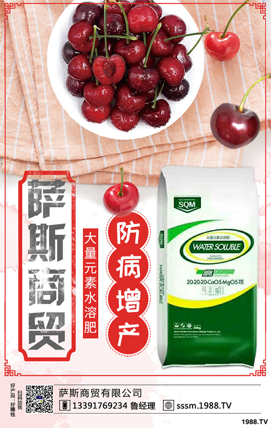 ������ԓ��ηNֲ���紺���׸߮a(ch��n)�Nֲ���gҪ�c