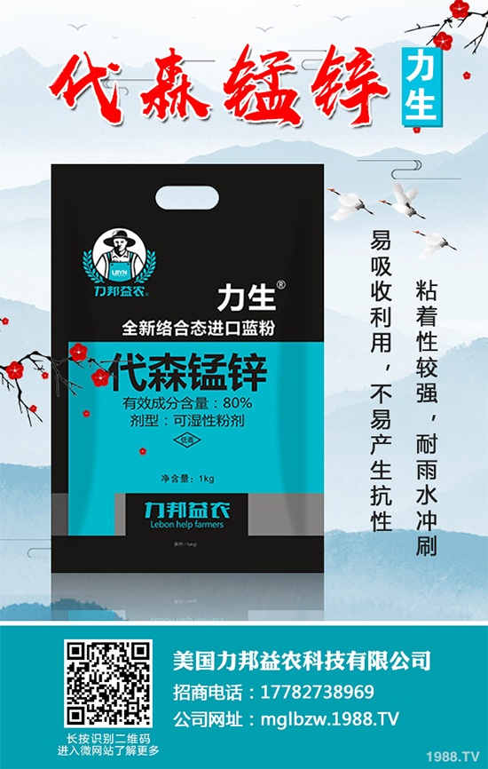     ���z�䚢�����r��