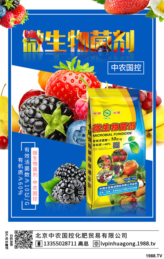 �����ʲô�I(y��ng)�B(y��ng)�r(ji��)ֵ����ϵĹ�Ч��ʳ��ע�����(xi��ng)��