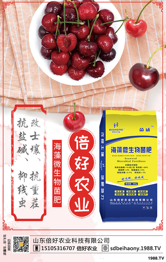     ���؃r(ji��)�����С��L(f��ng)�U(xi��n)���C(j��)��������2020-3-27�����������������