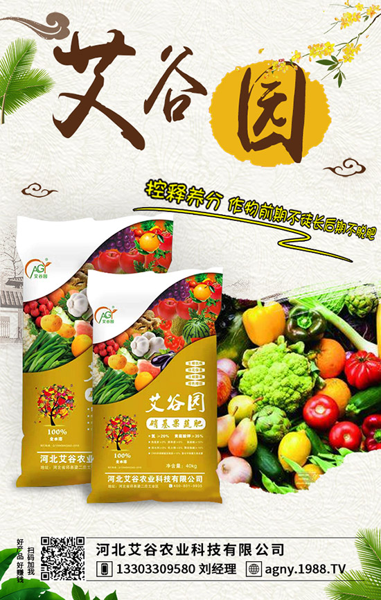 �O����ʩ�ʲ�����ʺ������ҽ�������A���ʺ���