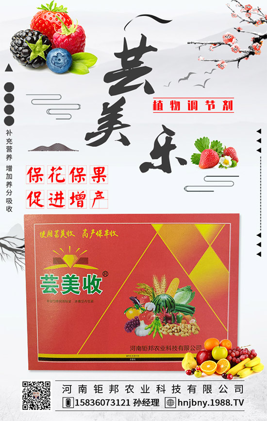 �����׽�����ʲôΣ���������׽����ķ��δ�ʩ��