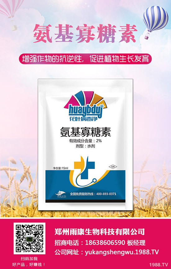 ���Ѱl(f��)���ʺ���ô�k�����ѷʺ���ô���ٻ֏���