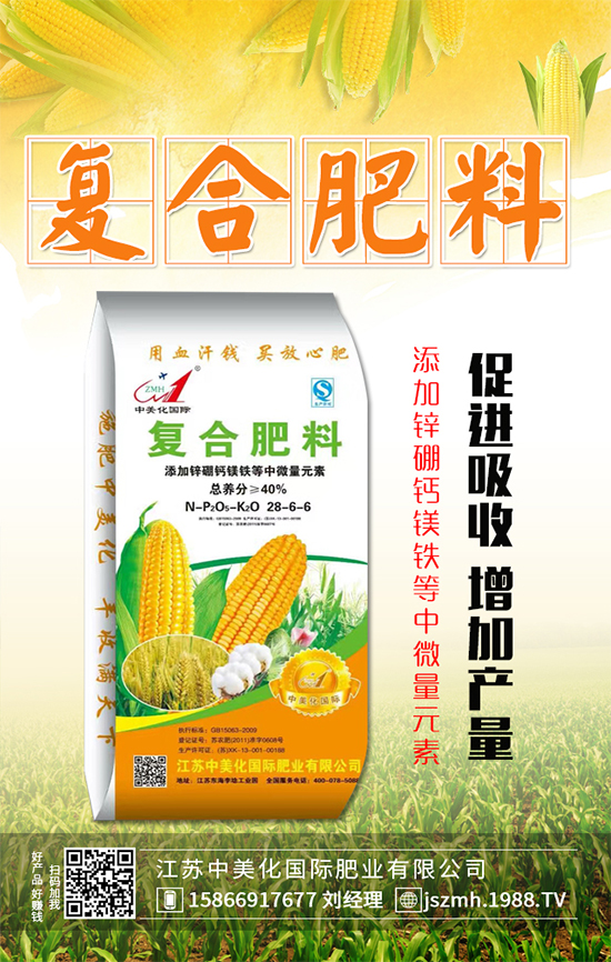 ����ʲô�r(sh��)�g���磿����������������Ҫ�c(di��n)��