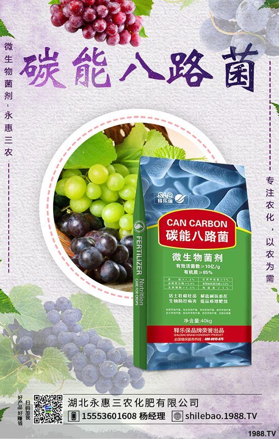 �{�˷Nֲ�r(sh��)�g��ʲô�r(sh��)�����{�˷Nֲ�������g(sh��)