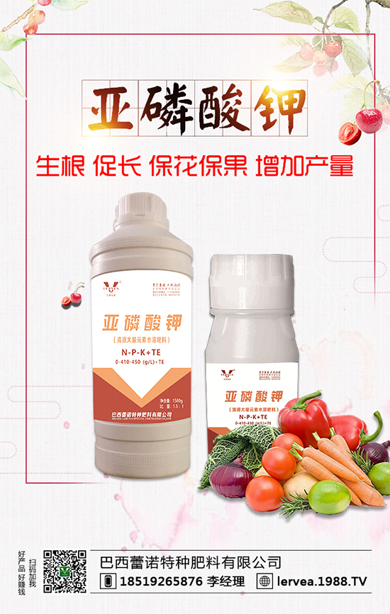 ����ȱ���ʲôΣ����⛷���ʲô������⛷ʷN��x����