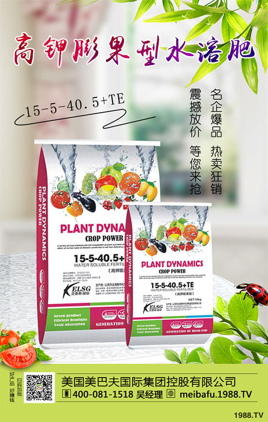 �ϹϷ��Ďׂ����L�A�Σ��Ϲό��������I�B(y��ng)Ҫ��