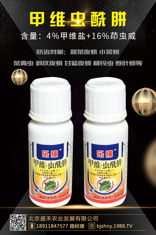 С���t֩��İl(f��)��Ҏ(gu��)������Щ��С���t֩����δ�ʩ��