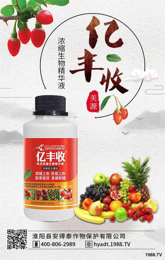 ɽ������ôǤ�己ֳ��ɽ��������μ޽���