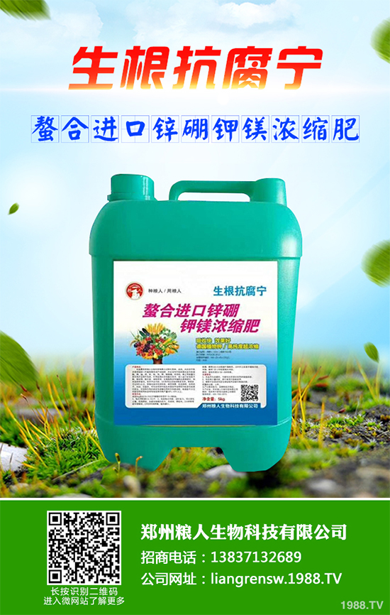 ���~��ԓ��ηNֲ����ˎ�����~��߮a(ch��n)�Nֲ���g(sh��)Ҫ�c(di��n)