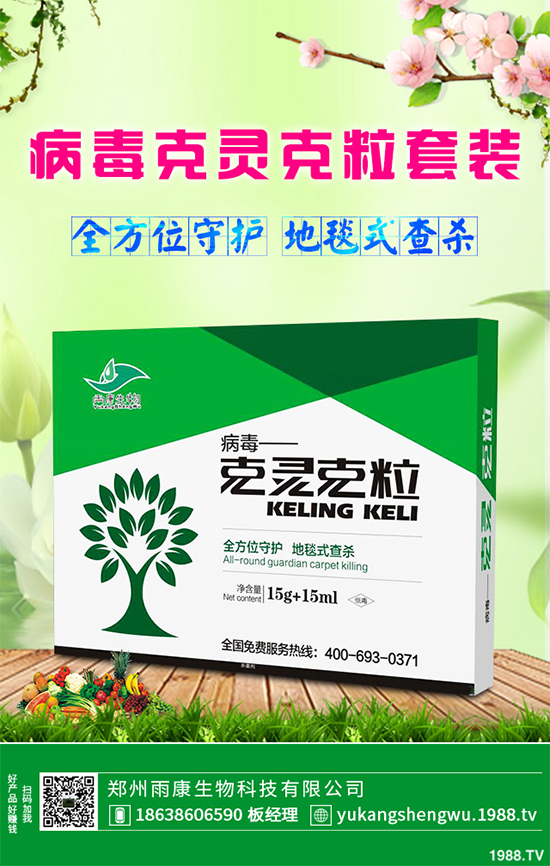 �W�ˌ�Ҫ���á���ɭ�i�\����