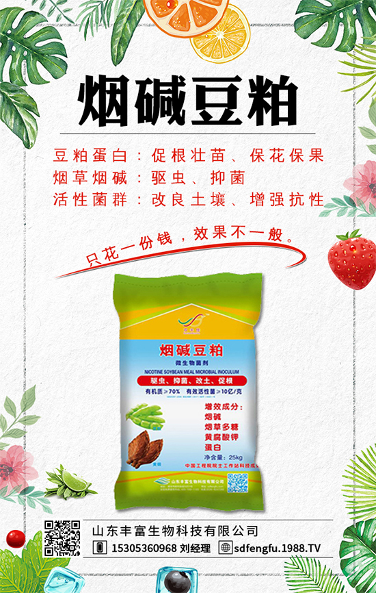 ���t��ʲô�r�g�Nֲ���t���Nֲ��β����S�a����