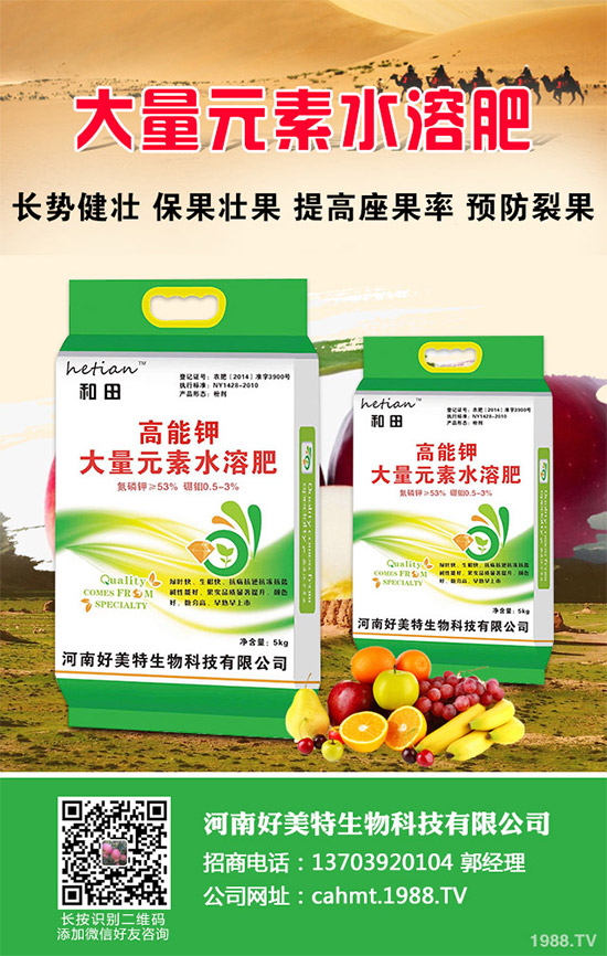 �����[��ηNֲ���ܸ߮a(ch��n)����Ҫע��ʲô���@�傀С���ɷ���һ����