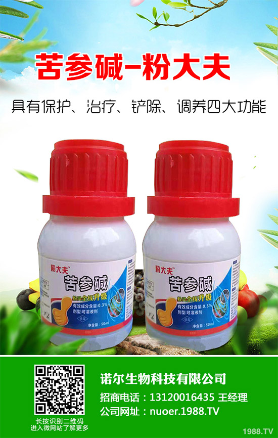 �{�����ӵă�(y��u)�������x���δ��ֲ���Ј��д�������