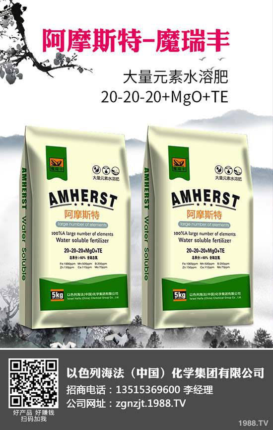 2020�괺����ʲô�r(sh��)�g���N�������׷Nֲ���g(sh��)