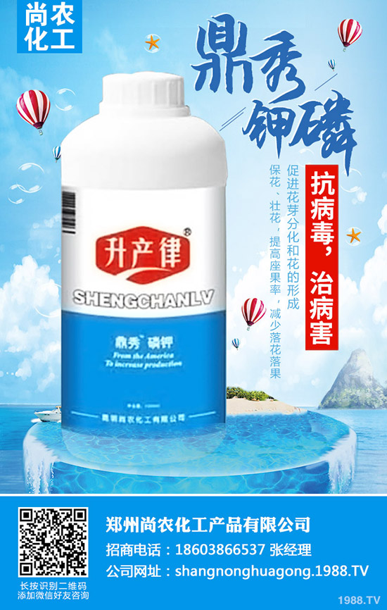     ���{���Y(ji��)����ô�k�����{���Y(ji��)��ԭ�򼰷��δ�ʩ��