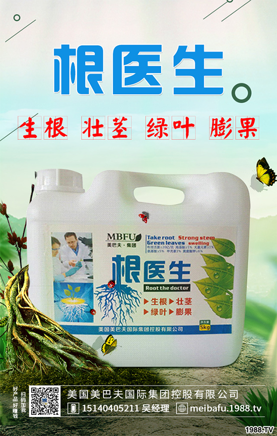 ������ʲô�r(sh��)�򲥷N���������Ĳ��N�r(sh��)�g��ע�����(xi��ng)