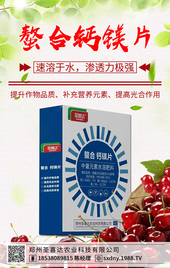 ������ԓ��������������˵ĸ߮a(ch��n)����������g(sh��)