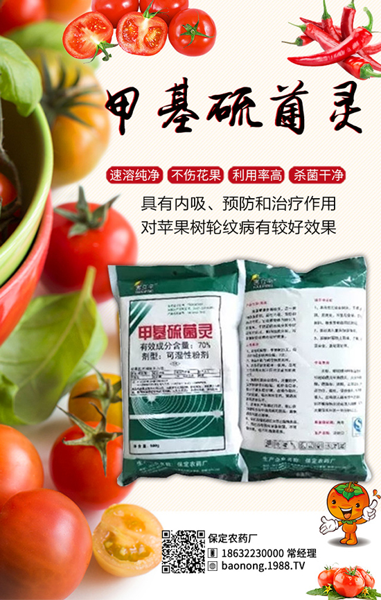 �������t�����༼�g(sh��)���������t�����x�����Σ�