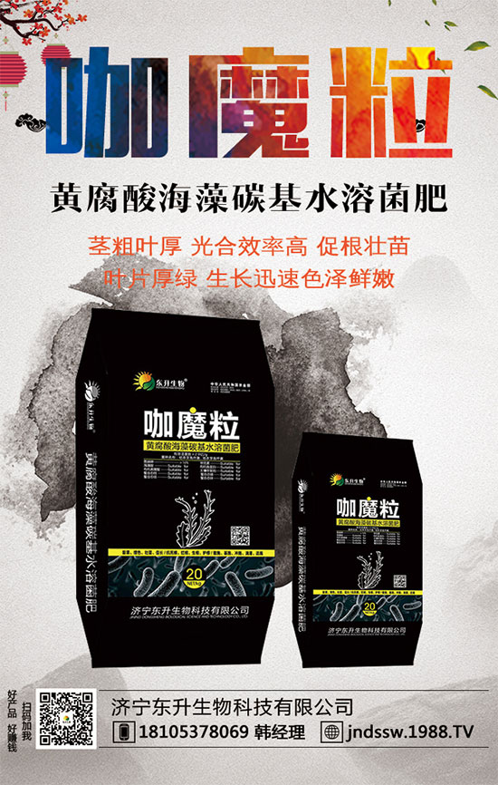 С����ʲô�g�Nֲ�r��С���۷Nֲ����Ҫ�c(di��n)��