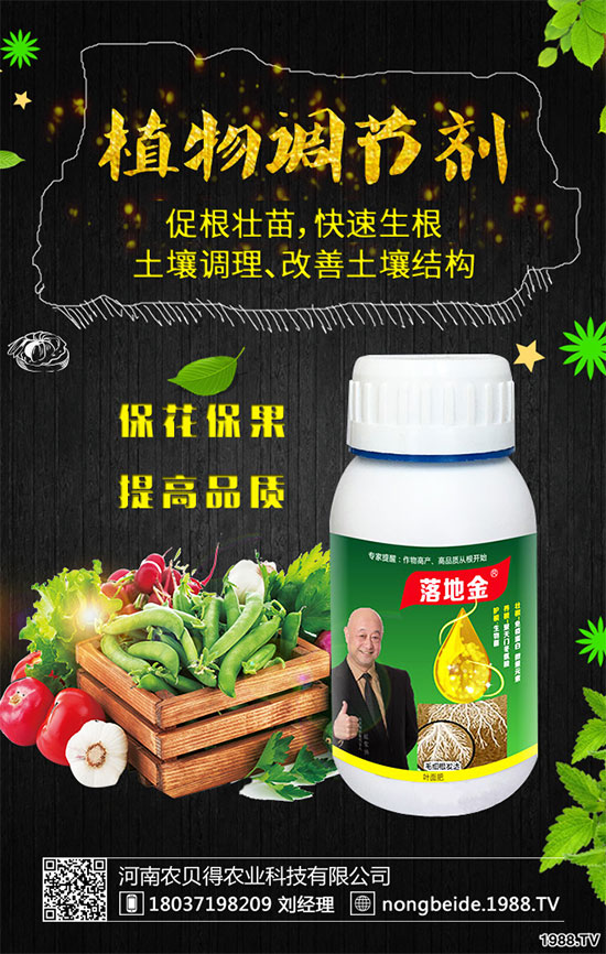 С��������Щʳ�Ãr(ji��)ֵ��С���۵��ΑB(t��i)������