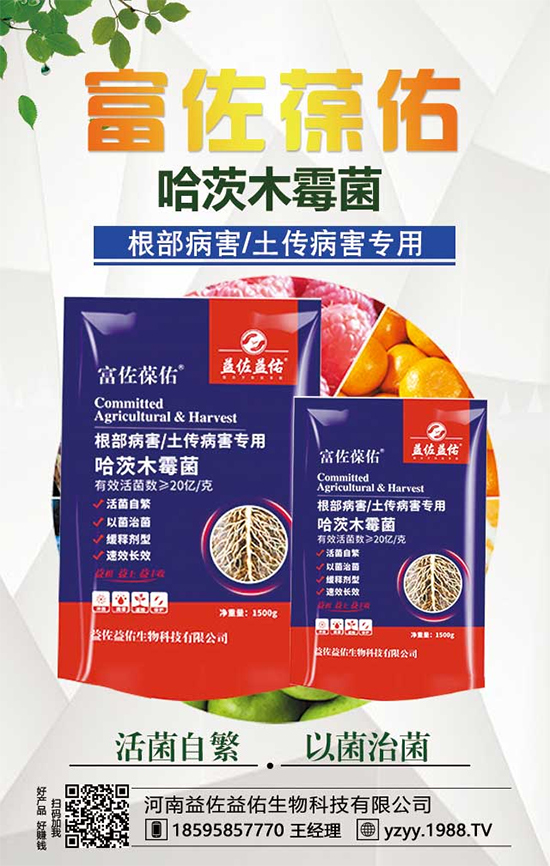 ���^����ʲô�I�B(y��ng)�rֵ�������^��ʲô��̎��