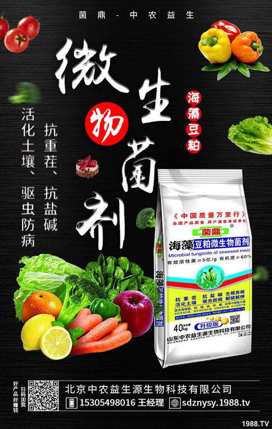     ���@�Ј����w���F(xi��n)ƽ�o��2020-5-12����������@�r�����������