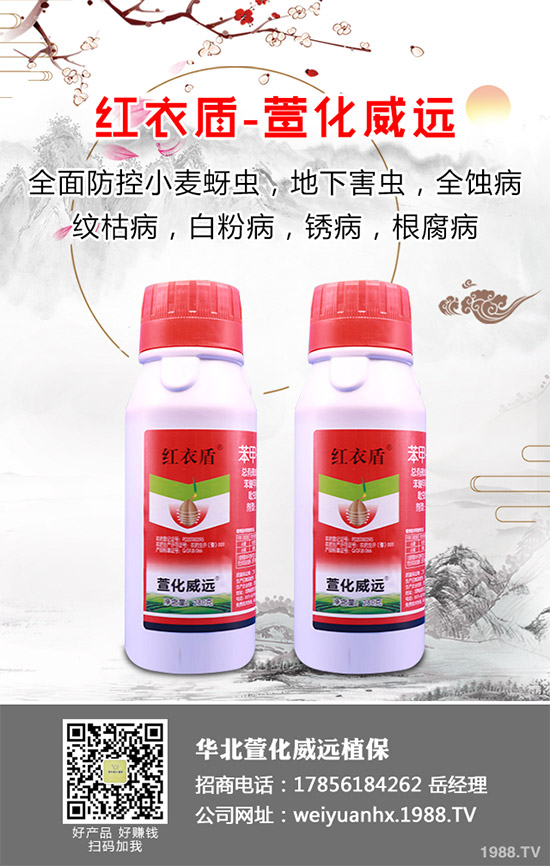     �𻨿��ֽв�ܽ����Ұܽ�صȵȣ���һ�N��ˎ����ʳ�Þ�һ�w����������Ѫ���(zh��n)ʹ�ȸ��N��Ч�Ĳݱ�ֲ������Ҫ����ˮ�[��������I�B(y��ng)�rֵҲ�Ƿǳ��S���������҇��ǳ��ܚgӭ����ô���𻨿�ԓ��������أ��𻨿��߮a(ch��n)���༼�g����Щ��