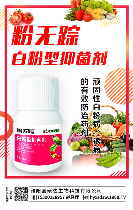 ������ô�Nֲ�������Nֲ���g(sh��)Ҫ�c��