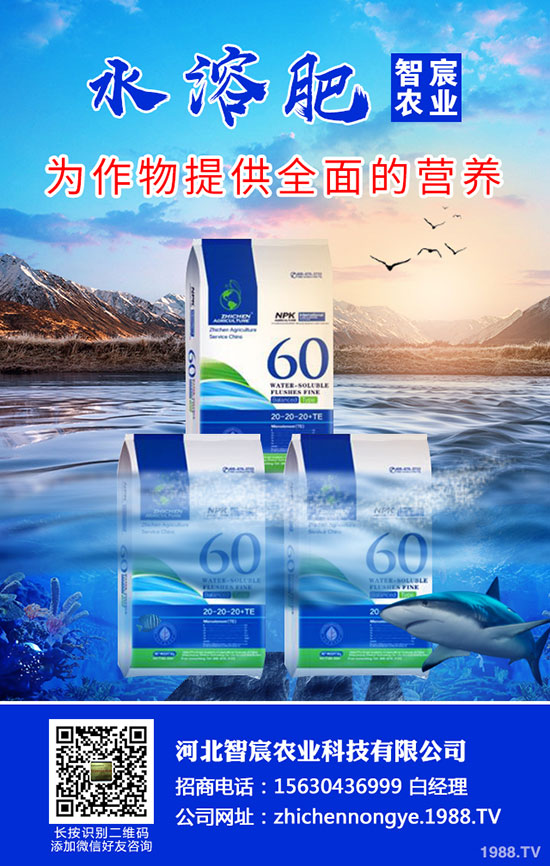 2020���؃r��Ҫ�ϝq���������������߄ݷ�����