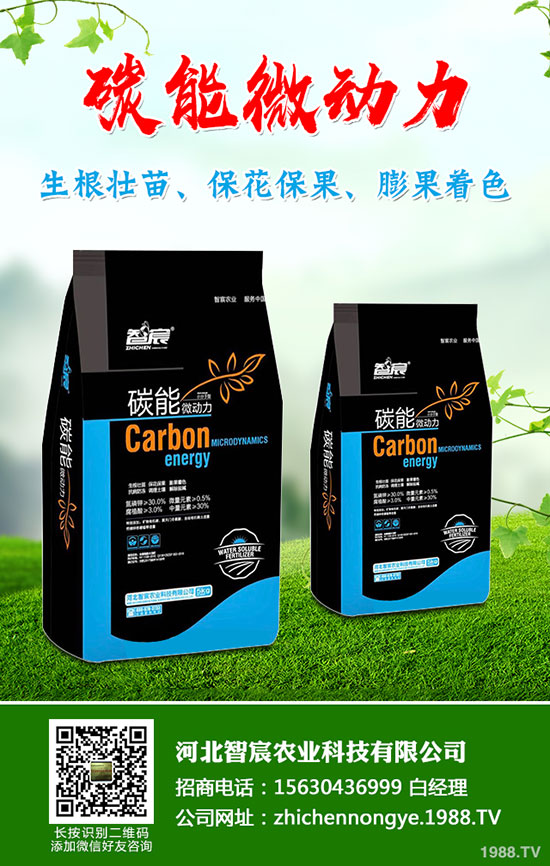 5��(gu��)��(n��i)�׷��Ј�(ch��ng)��ȥ�Ώ�������һ�@���@�r(ji��)�������߄�(sh��)�A(y��)�y(c��)��