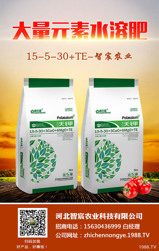 ����F��ô�B(y��ng)������F���B(y��ng)ֳ������ע�����